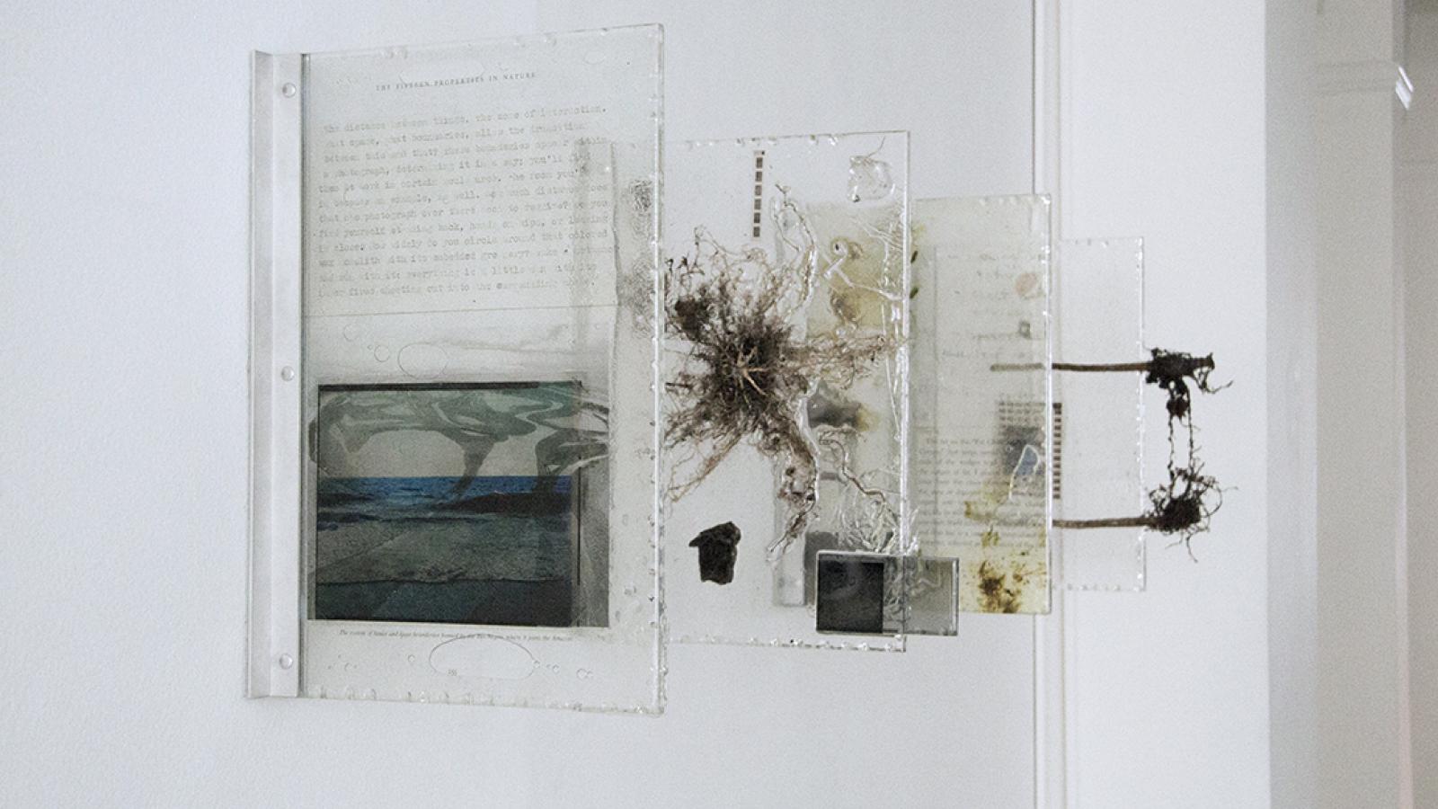 Image of Heidi Norton: "The Distance Between Things," plant, resin, paint, acrylic, celluloid, photographic transparencies, petrified wood, lenses, mirror, 2013