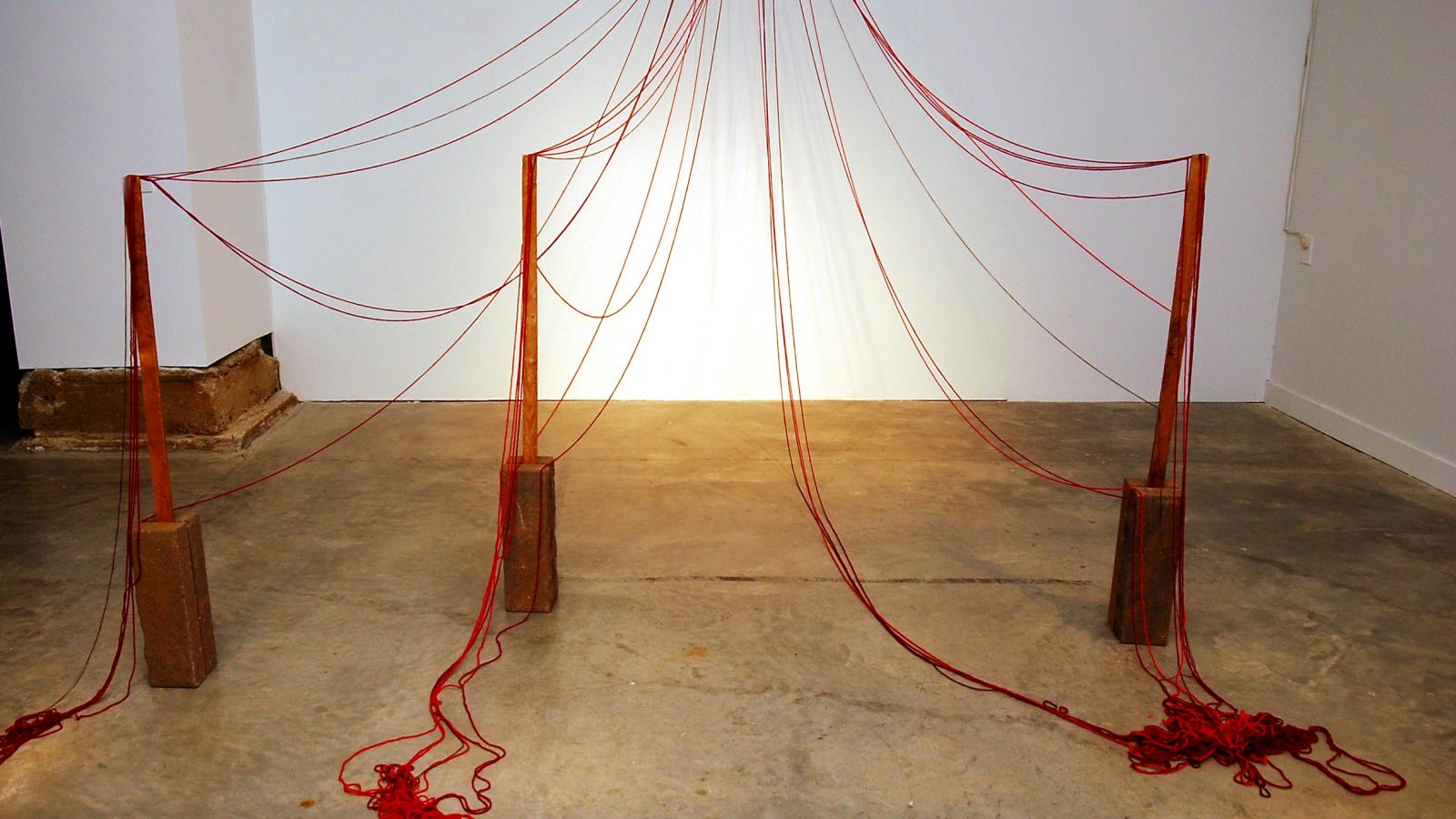 Rana Siegel: Staggered, 2010