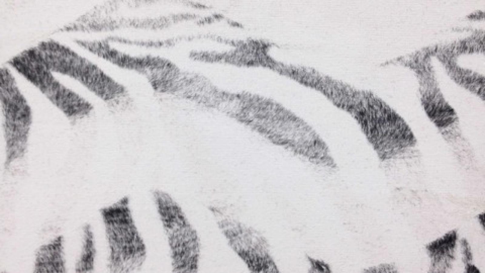 Image of Stuart Elliot: Detail, "Untitled [76]", polyester fibres, glue, acrylic primer, canvas, wood, 2012