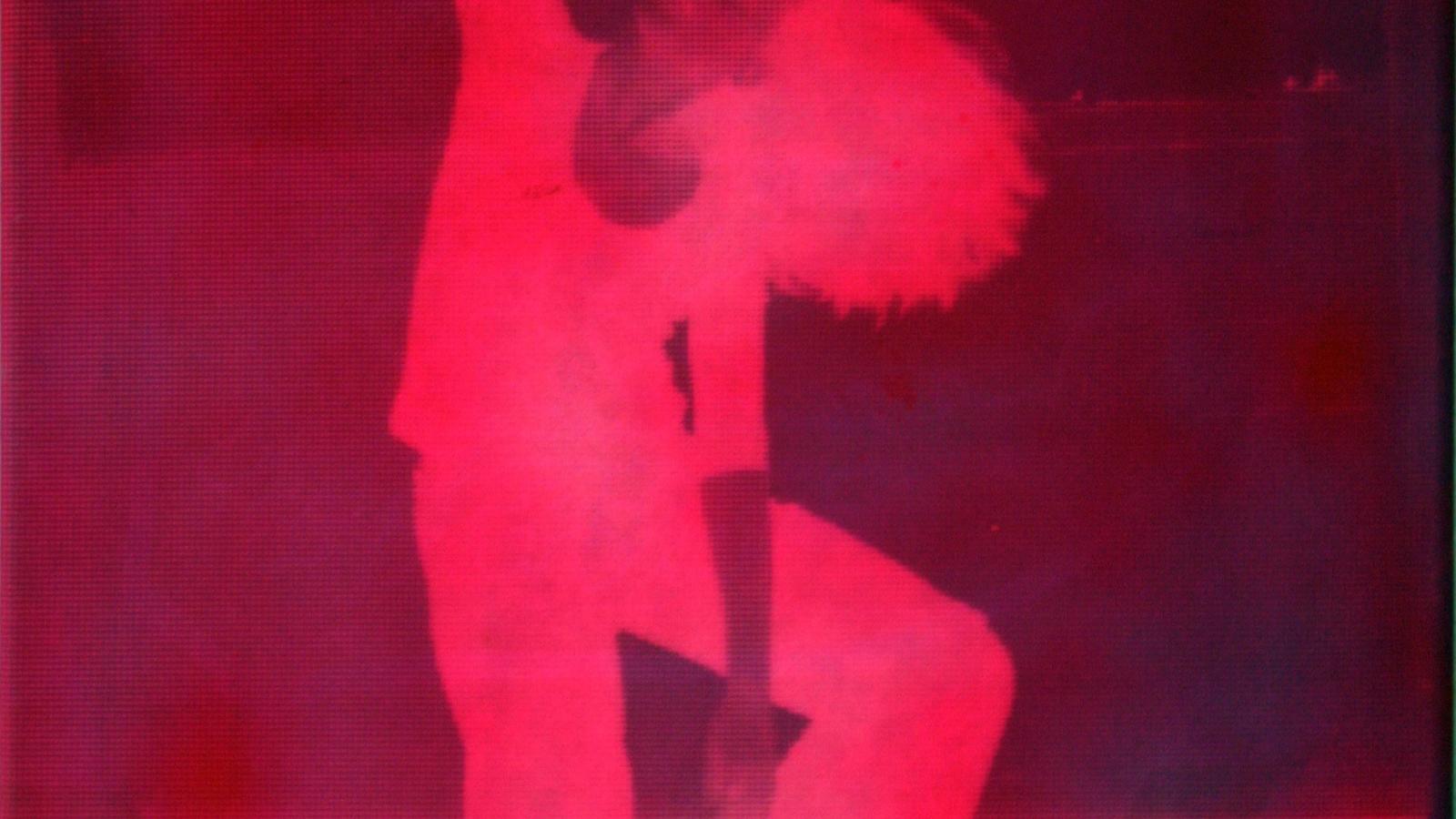 Jean Kirsten from the Dancestudies Series, screenprint on polyester over linen, 2012